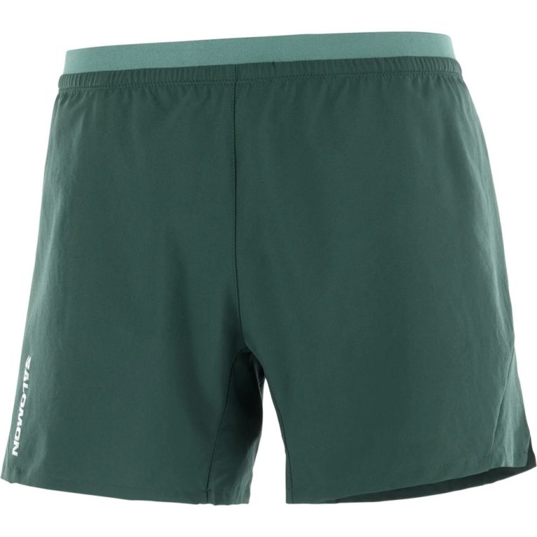 Bermudas Salomon Cross 5'' Hombre Verdes | MX LSDY201